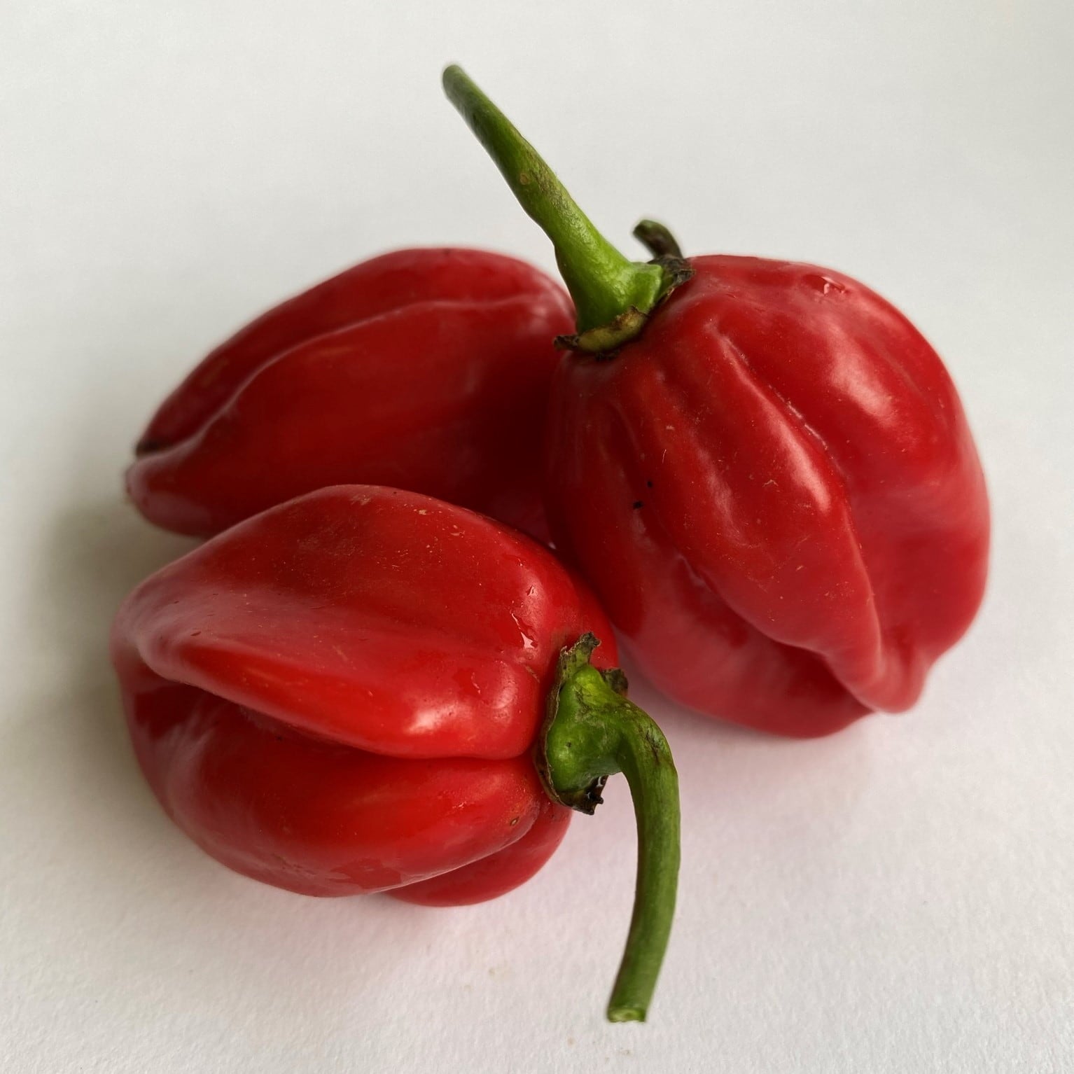 Habanero deals red 27