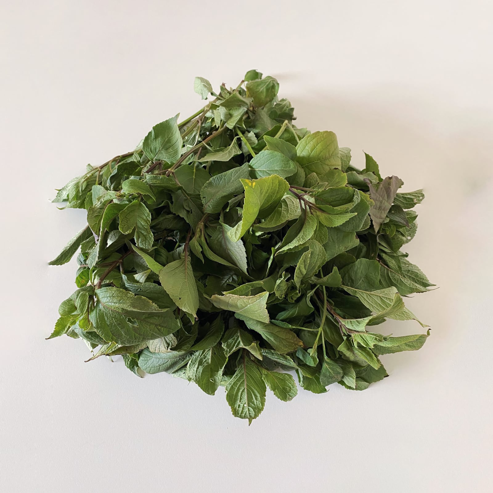 Basil Fever Leaf Fresh Bunch